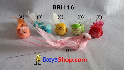 BRH 16 a  large2